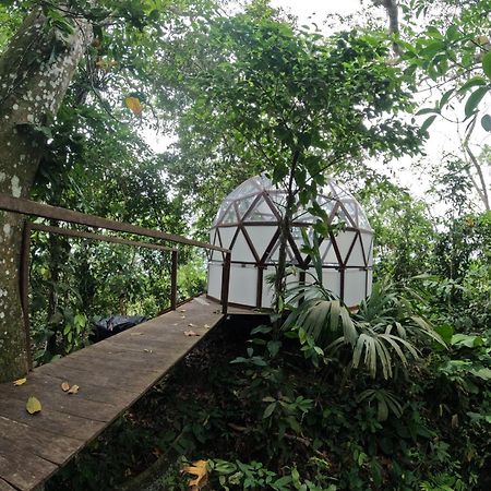Taorayina Nature Lodge- Immersed In The Forest El Zaino Extérieur photo