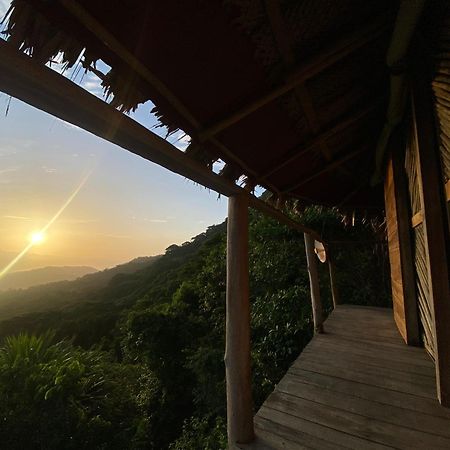 Taorayina Nature Lodge- Immersed In The Forest El Zaino Extérieur photo