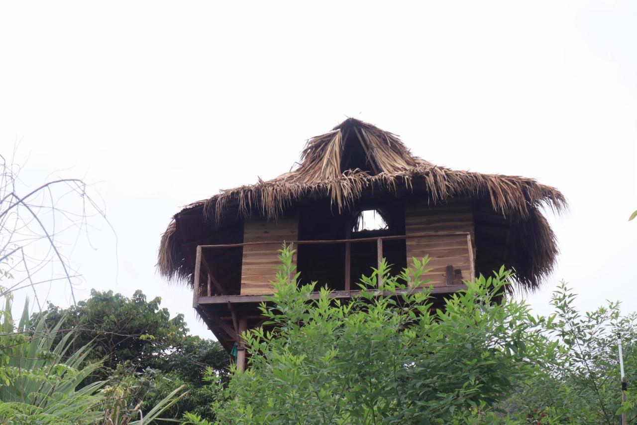 Taorayina Nature Lodge- Immersed In The Forest El Zaino Extérieur photo