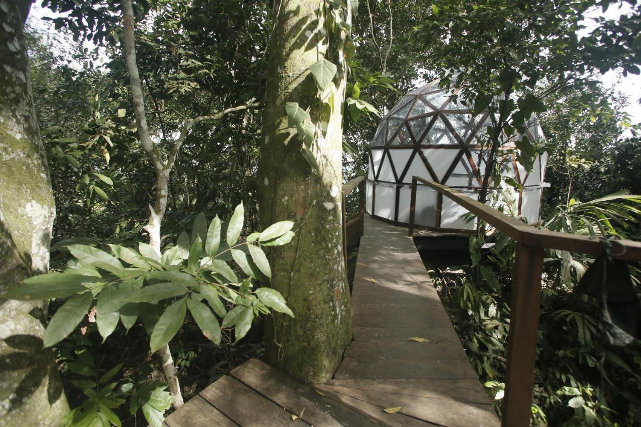 Taorayina Nature Lodge- Immersed In The Forest El Zaino Extérieur photo