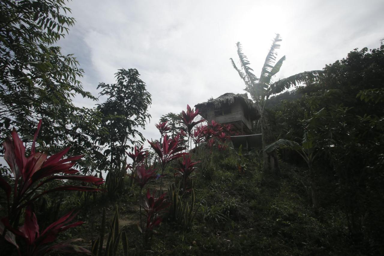 Taorayina Nature Lodge- Immersed In The Forest El Zaino Extérieur photo