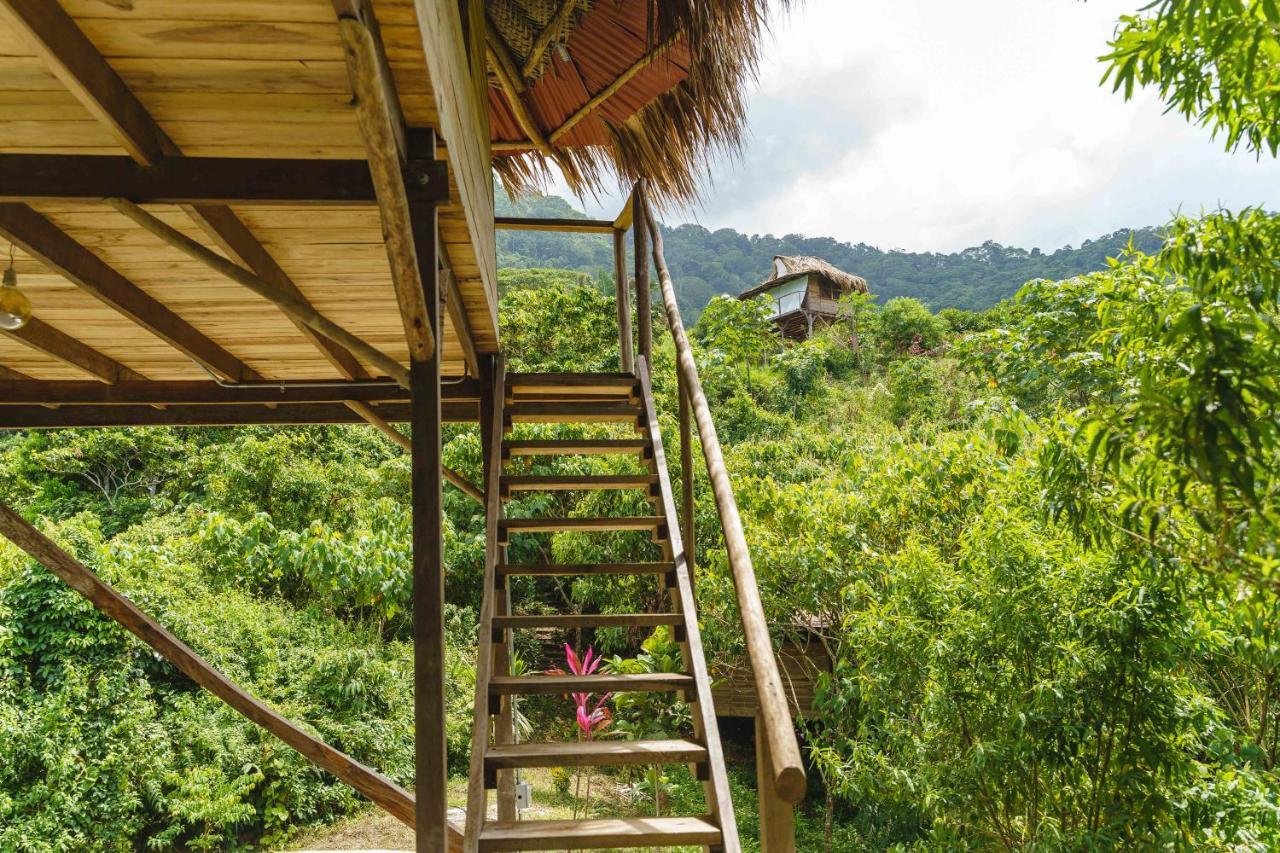 Taorayina Nature Lodge- Immersed In The Forest El Zaino Extérieur photo