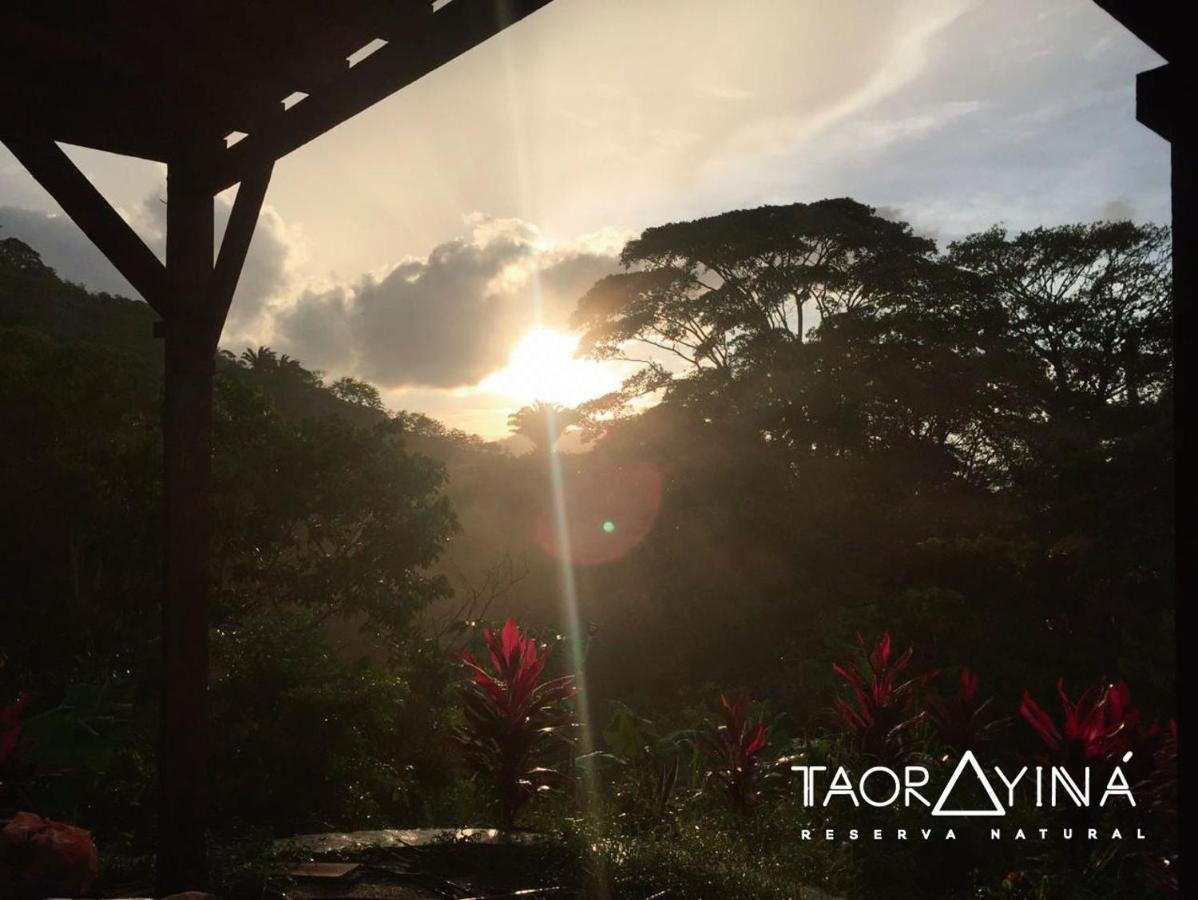 Taorayina Nature Lodge- Immersed In The Forest El Zaino Extérieur photo