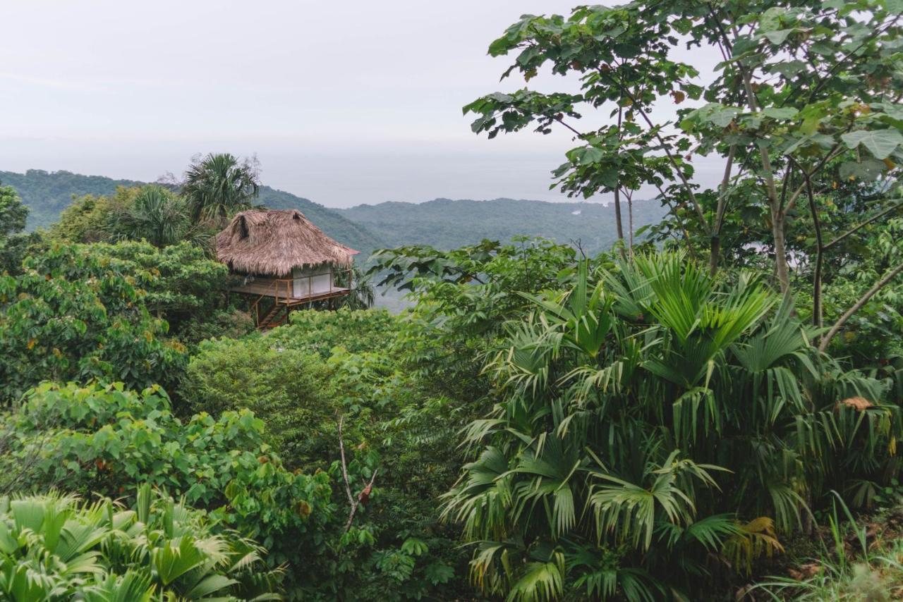 Taorayina Nature Lodge- Immersed In The Forest El Zaino Extérieur photo