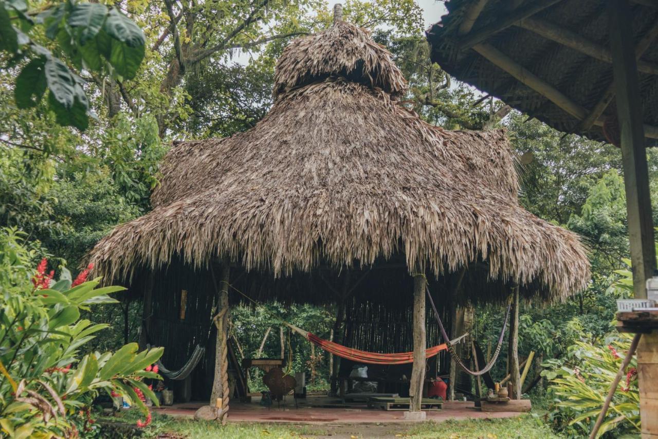 Taorayina Nature Lodge- Immersed In The Forest El Zaino Extérieur photo