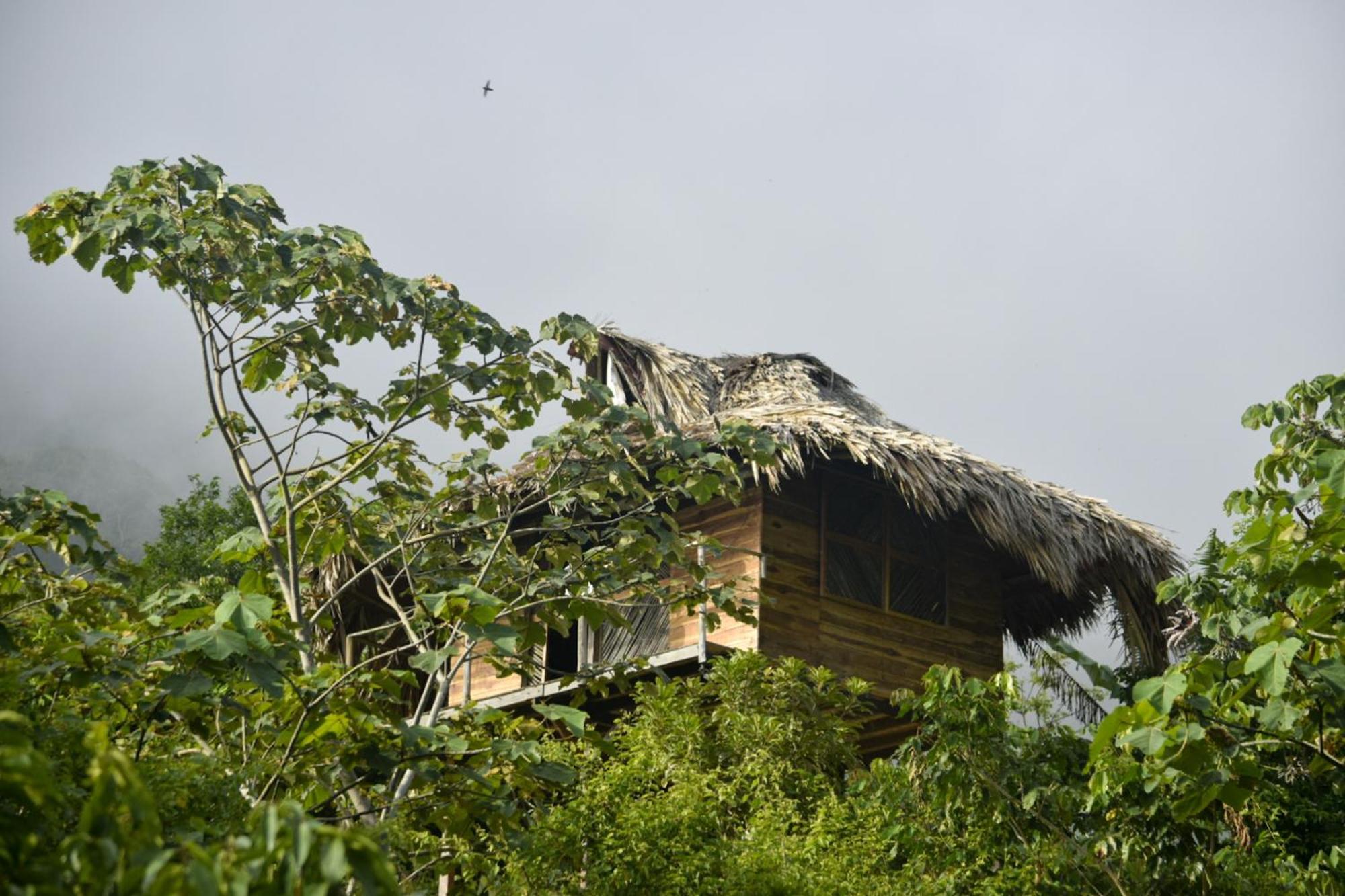 Taorayina Nature Lodge- Immersed In The Forest El Zaino Extérieur photo
