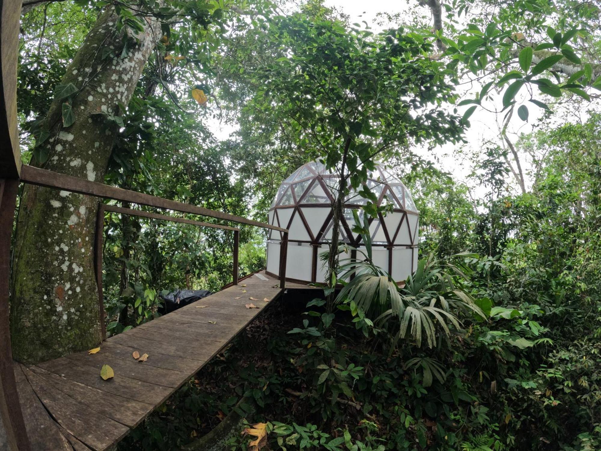 Taorayina Nature Lodge- Immersed In The Forest El Zaino Extérieur photo