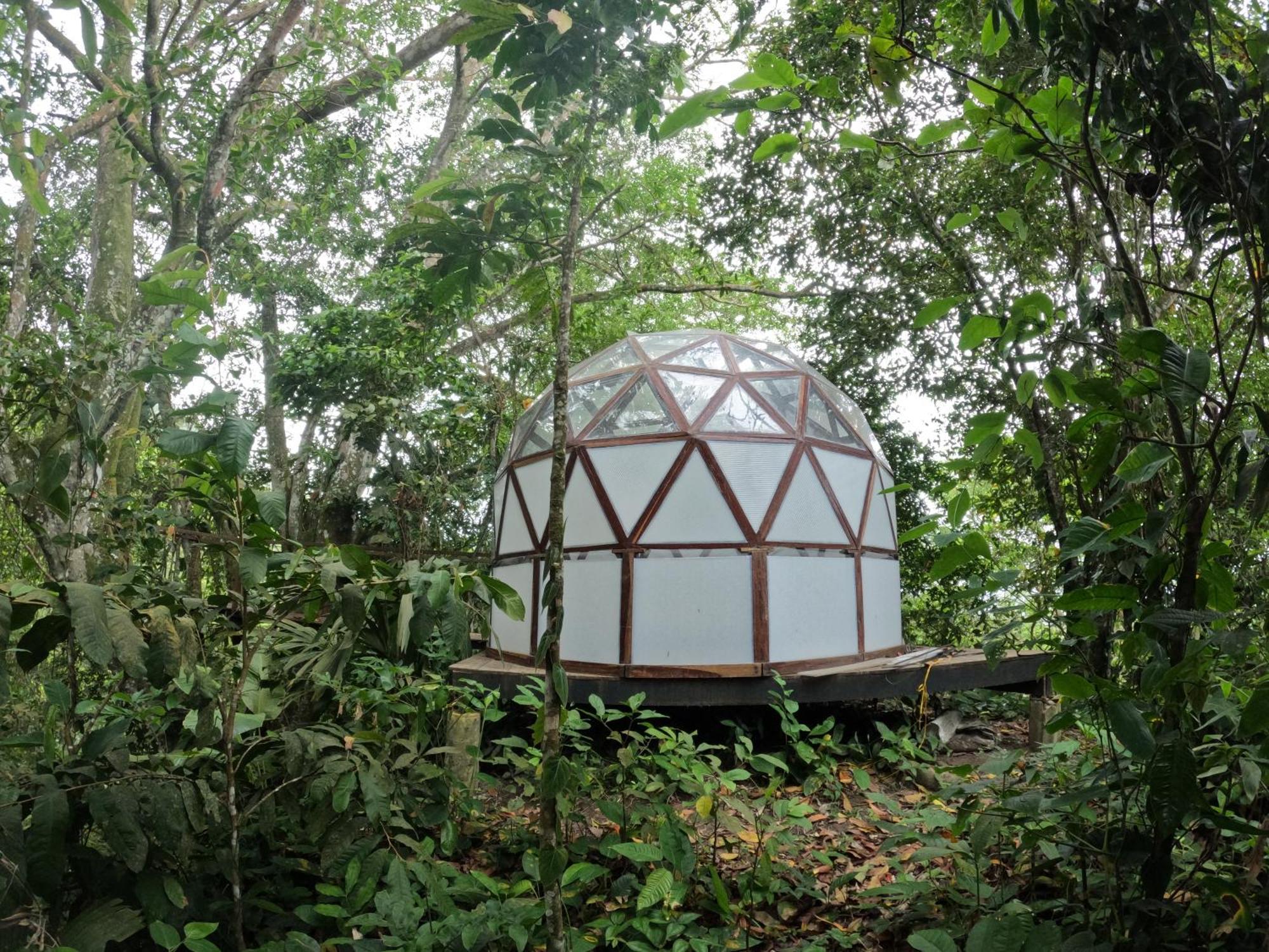 Taorayina Nature Lodge- Immersed In The Forest El Zaino Extérieur photo